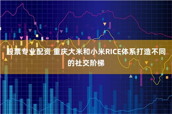 股票专业配资 重庆大米和小米RICE体系打造不同的社交阶梯